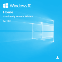 10_home-big